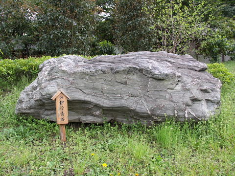 a0105819_11275415.jpg
