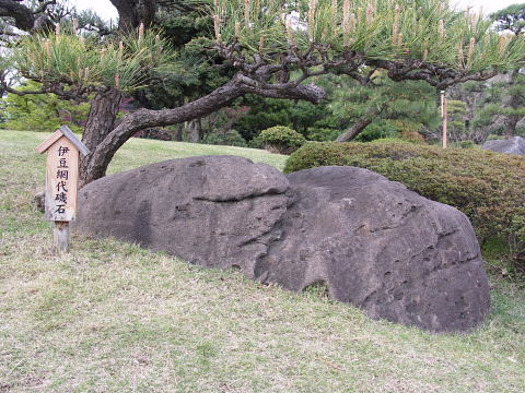 a0105819_11295135.jpg