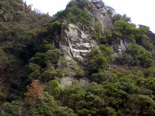 e0008223_21175497.jpg
