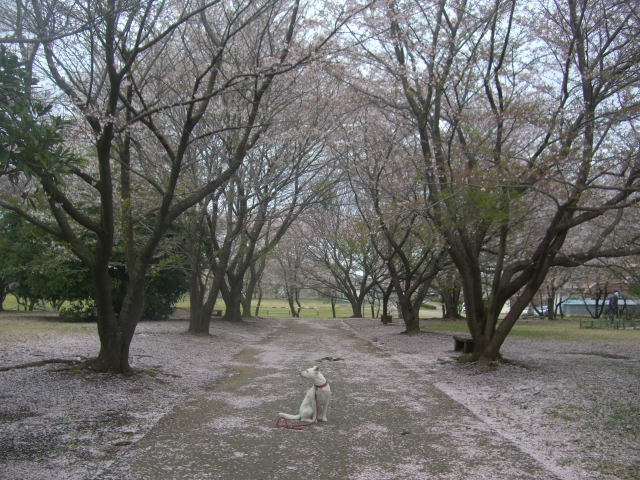 c0123029_2313877.jpg