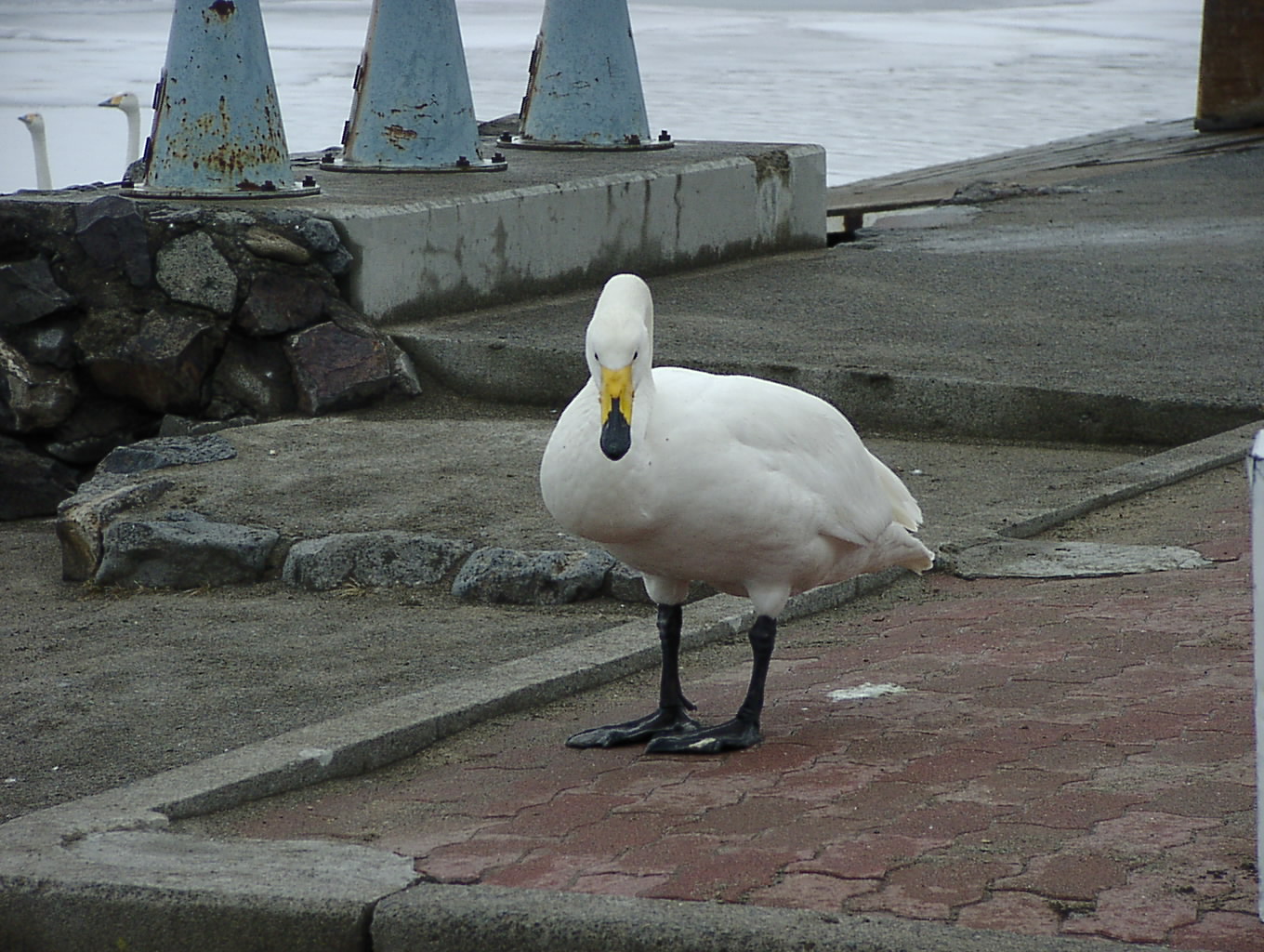 また逢う日まで 4月10日_f0113639_1445152.jpg