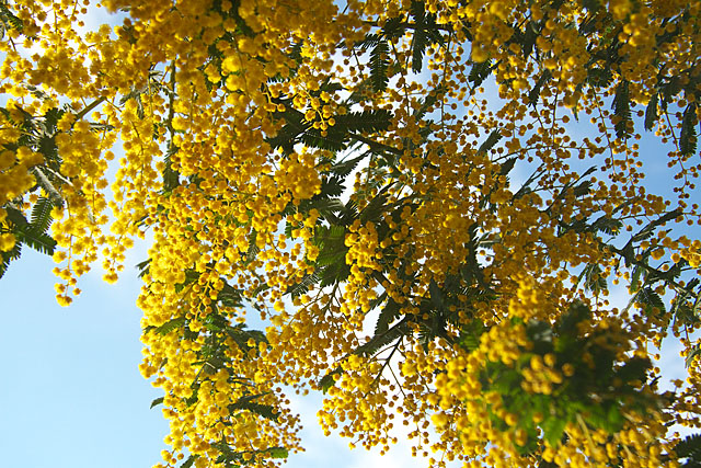c0067040_21464572.jpg