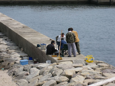 平成20 年4月5日 某漁港で貝採り提灯_a0107644_12274813.jpg