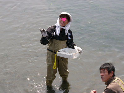 平成20 年4月5日 某漁港で貝採り提灯_a0107644_13264644.jpg