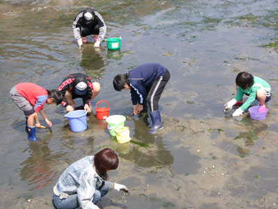 平成20 年4月5日 某漁港で貝採り提灯_a0107644_13275449.jpg