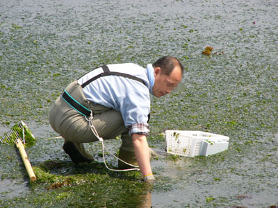 平成20 年4月5日 某漁港で貝採り提灯_a0107644_13331189.jpg