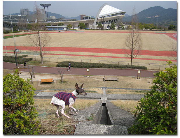 だって桜が咲く前だもん。_c0067449_18572415.jpg