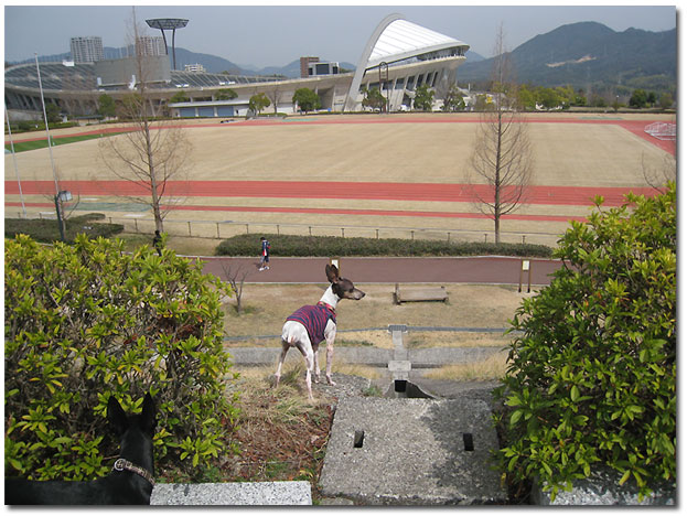 だって桜が咲く前だもん。_c0067449_1857693.jpg