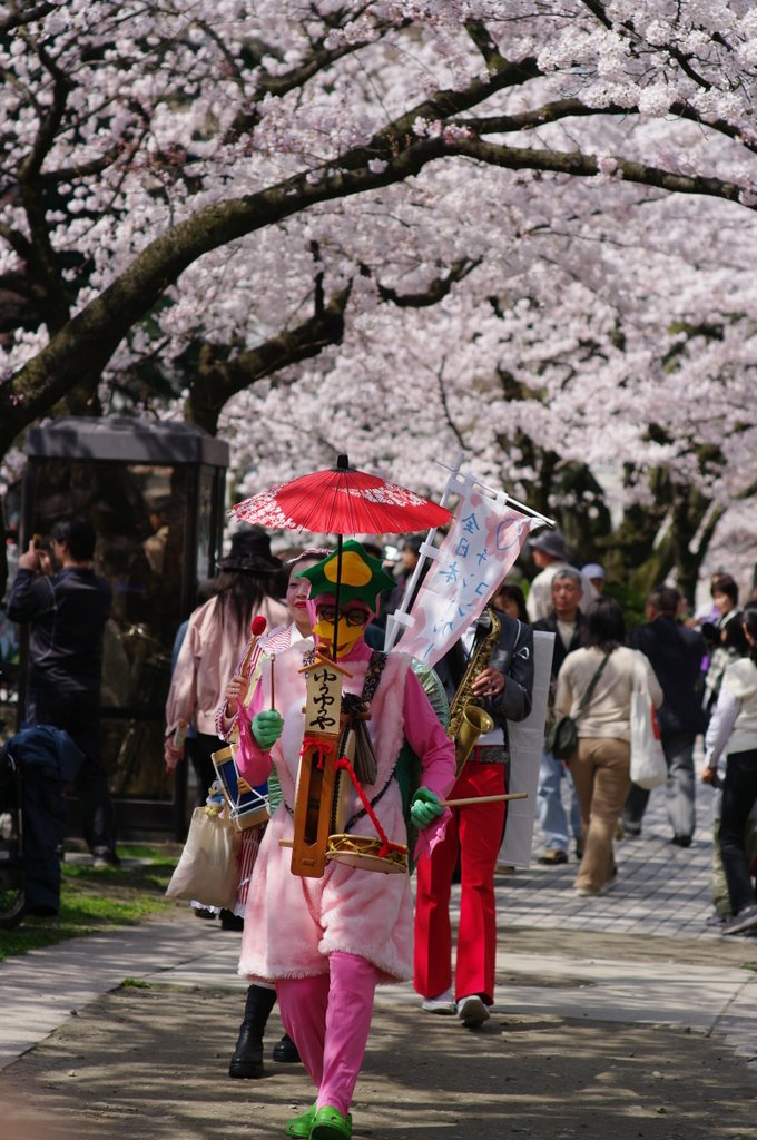 さくら、桜、SAKURA6_c0113059_17581429.jpg