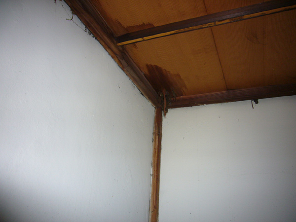 e0098674_26320.jpg