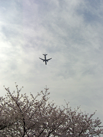 c0095679_18443459.gif