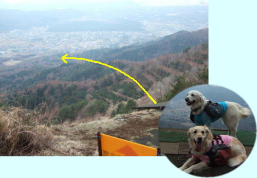 杓子山リベンジハイキング（その１）　4月7日（月）_b0136381_1104747.jpg