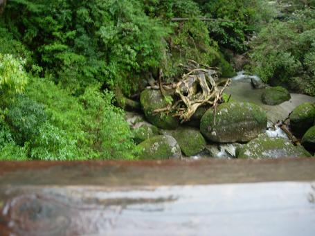 屋久島はやっぱり雨でした＠’０７．４．１７_a0087284_1135325.jpg