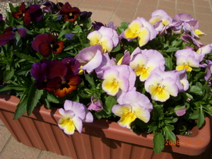c0149195_14421759.jpg