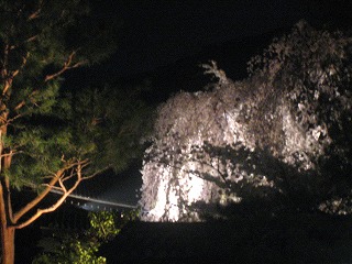 c0077697_19503670.jpg