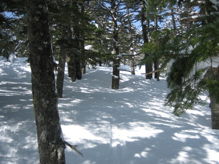 c0147398_12563284.jpg