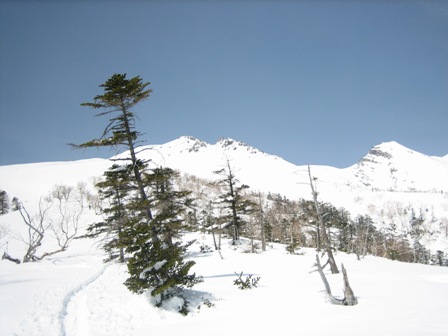 c0147398_1259295.jpg