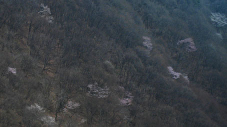 a0101500_2131818.jpg