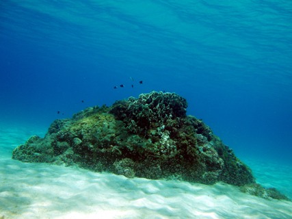 e0023100_10877.jpg