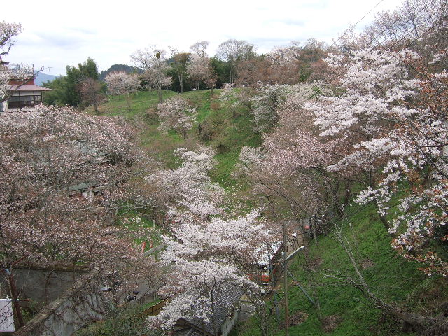 芭蕉が追った西行_b0101118_044551.jpg