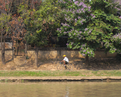 c0132422_1258.jpg