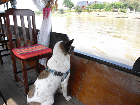 c0132422_1333790.jpg