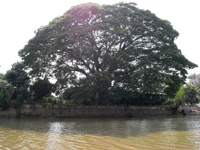 c0132422_15843.jpg