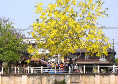 c0132422_16575.jpg