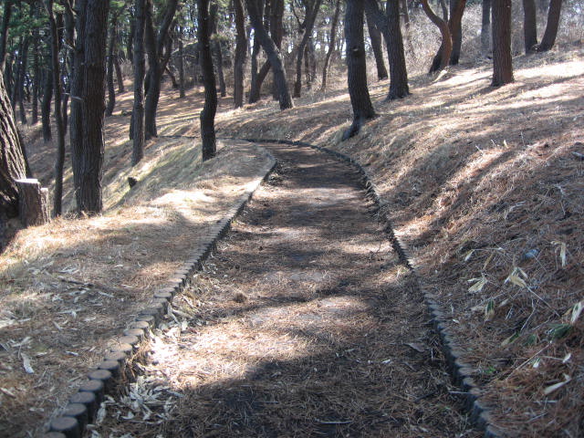 八戸の厳寒口種差に春が来た。【深久保漁港→種差芝生地】（その５）_e0132433_1012590.jpg