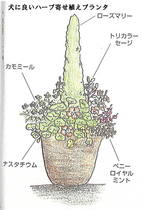 －ペットも花粉症とアレルギーの季節－_e0130950_13153885.jpg