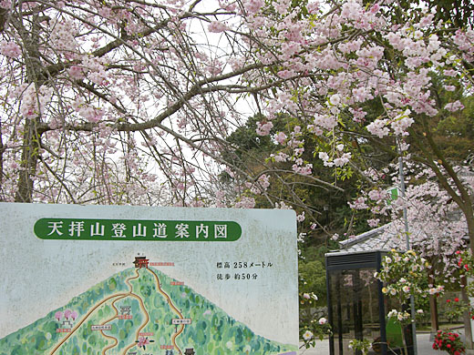 c0125356_22362586.jpg