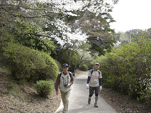 c0125356_22422062.jpg