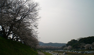 d0006756_954319.jpg