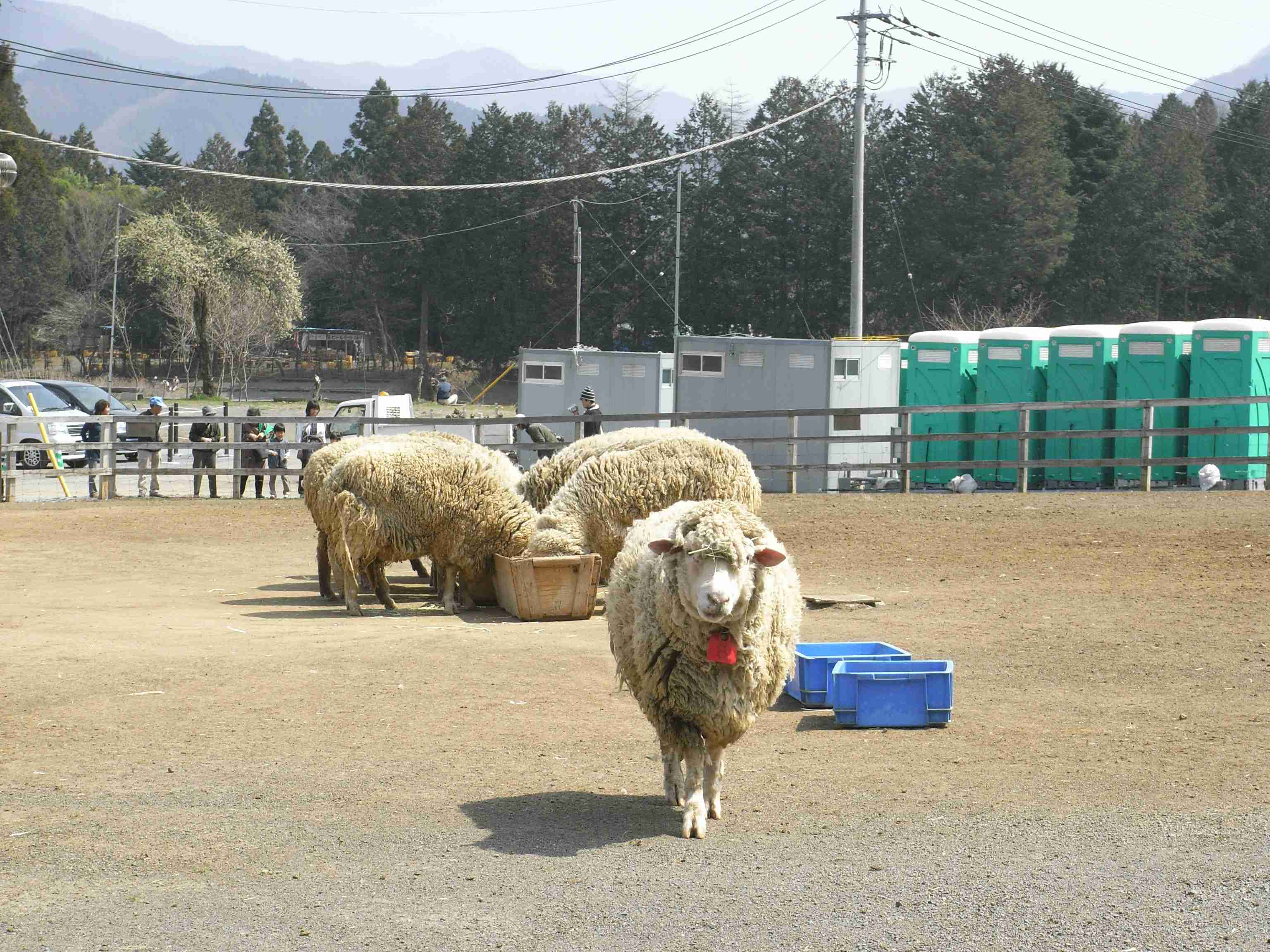 なが～いながーい第４回定例区議会が終わり、やっとストレス解消の登山に出かけました。_d0049160_1312354.jpg