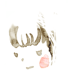 c0157364_1195967.gif