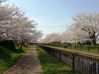 f0138768_20234695.jpg