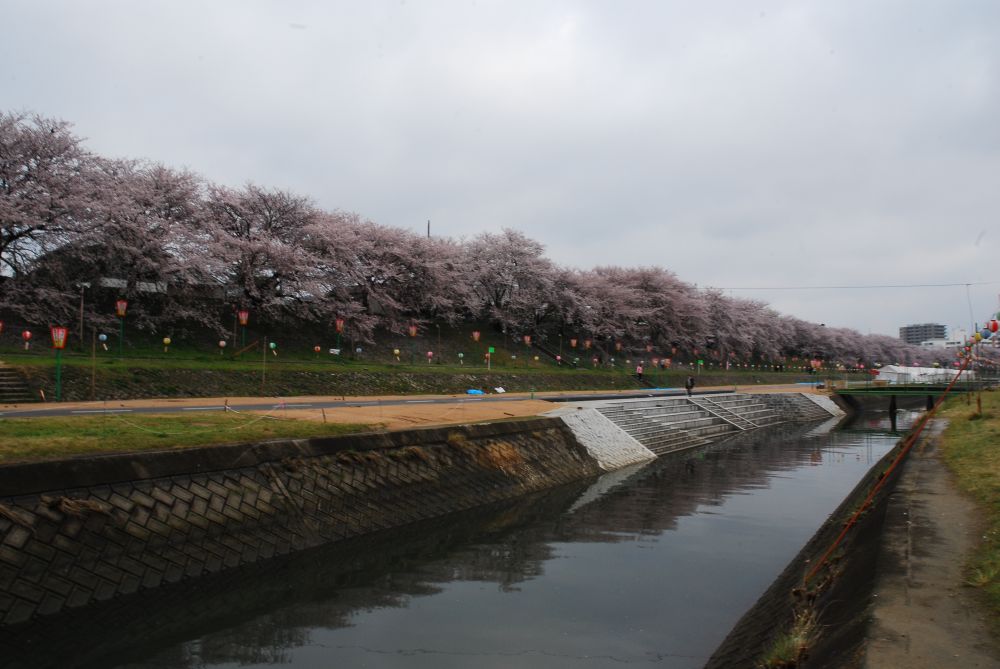 雨上がりの後楽園_c0132571_232232.jpg