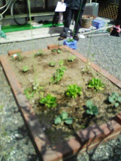 c0028076_18142171.jpg