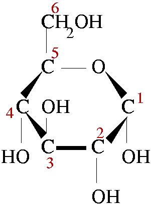 若いあなたに語る自然科学3 一枚の葉の中の宇宙(3)光合成の秘密_d0026078_86927.jpg