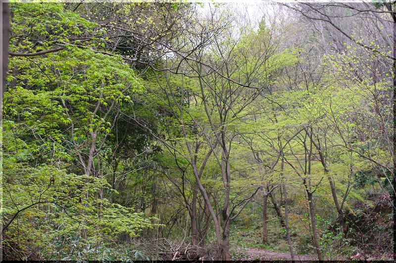 e0024081_1416652.jpg