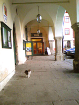 f0046982_5573767.jpg