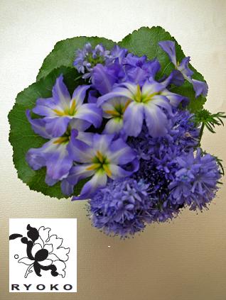 花卉～ブルー～_c0128489_16351265.jpg