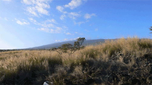 e0144890_210245.gif