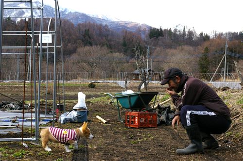 見回りは、まかしといてっ！　　4月1２日_c0127703_3264354.jpg