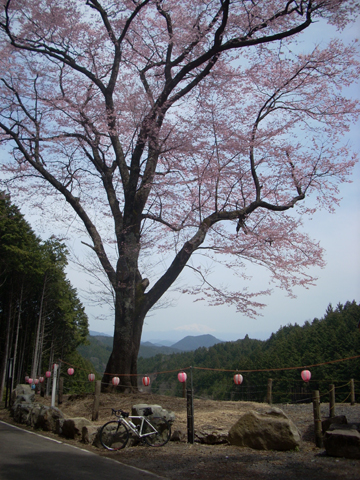 嶽見桜サイクリング_b0000209_22291799.jpg