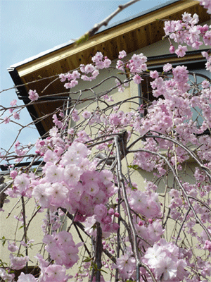 c0022913_18364612.gif