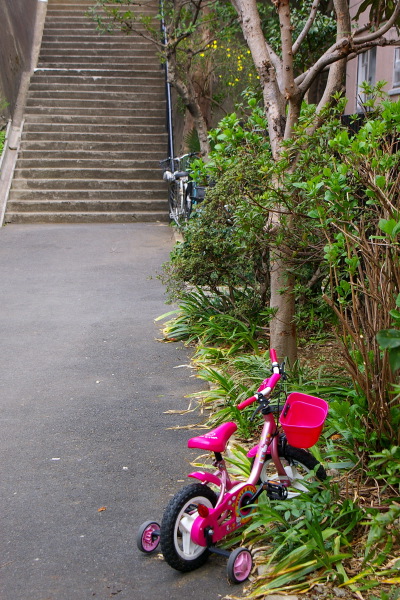 千石界隈・坂道の風景_b0053019_2121921.jpg