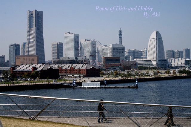 《横浜物語》P-4大桟橋からの眺め。(２)日中シンクロ撮りです。_b0033423_16305561.jpg