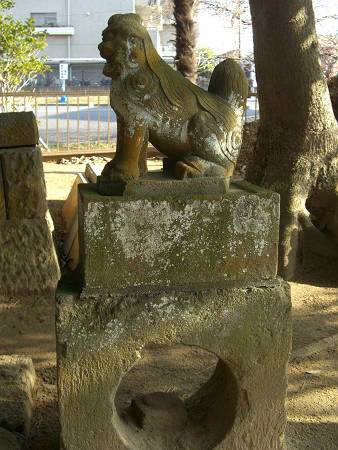 菊田神社の狛犬_d0065324_107236.jpg