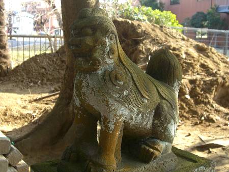 菊田神社の狛犬_d0065324_1072823.jpg